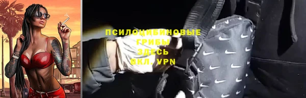 mix Бикин