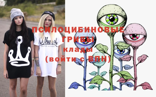 сатива Нея