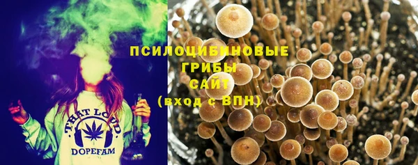 первитин Нефтегорск